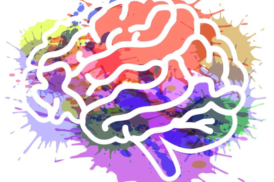 cerveau traits caractéristiques multipotentiel
